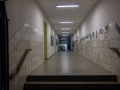 gymnasium-07454.jpg